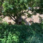 Domaine de Perverange - Les Airelles -