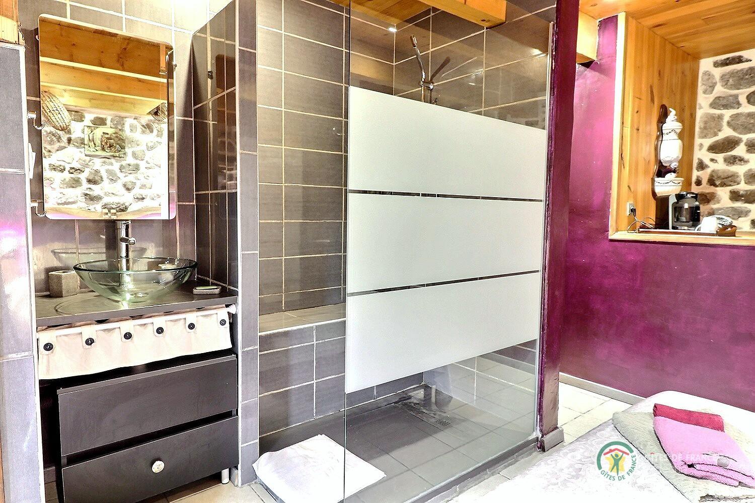 Salle d'eau ouverte sur la chambre photo 13