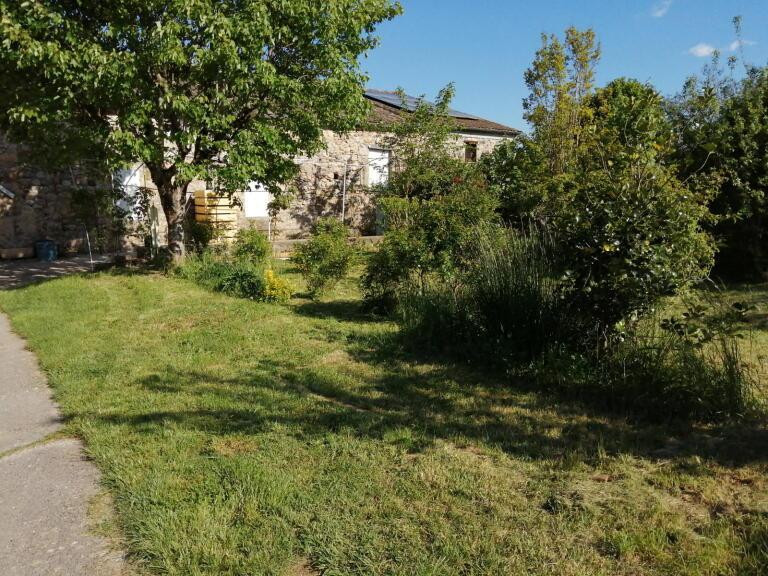 photo 0