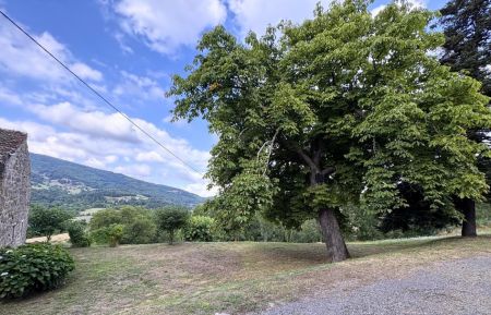 G&icirc;te n&deg;236011 Saint-F&eacute;licien - Ard&egrave;che - Sous le marronnier en &eacute;t&eacute; -route goudronn&eacute;e priv&eacute;e pour l'acc&egrave;s au g&icirc;te-