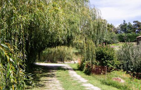 G&icirc;te n&deg;236701 Saint-F&eacute;licien - Ard&egrave;che - photoEte