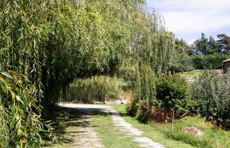 G&icirc;te n&deg;236702 Saint-F&eacute;licien - Ard&egrave;che - photoEte